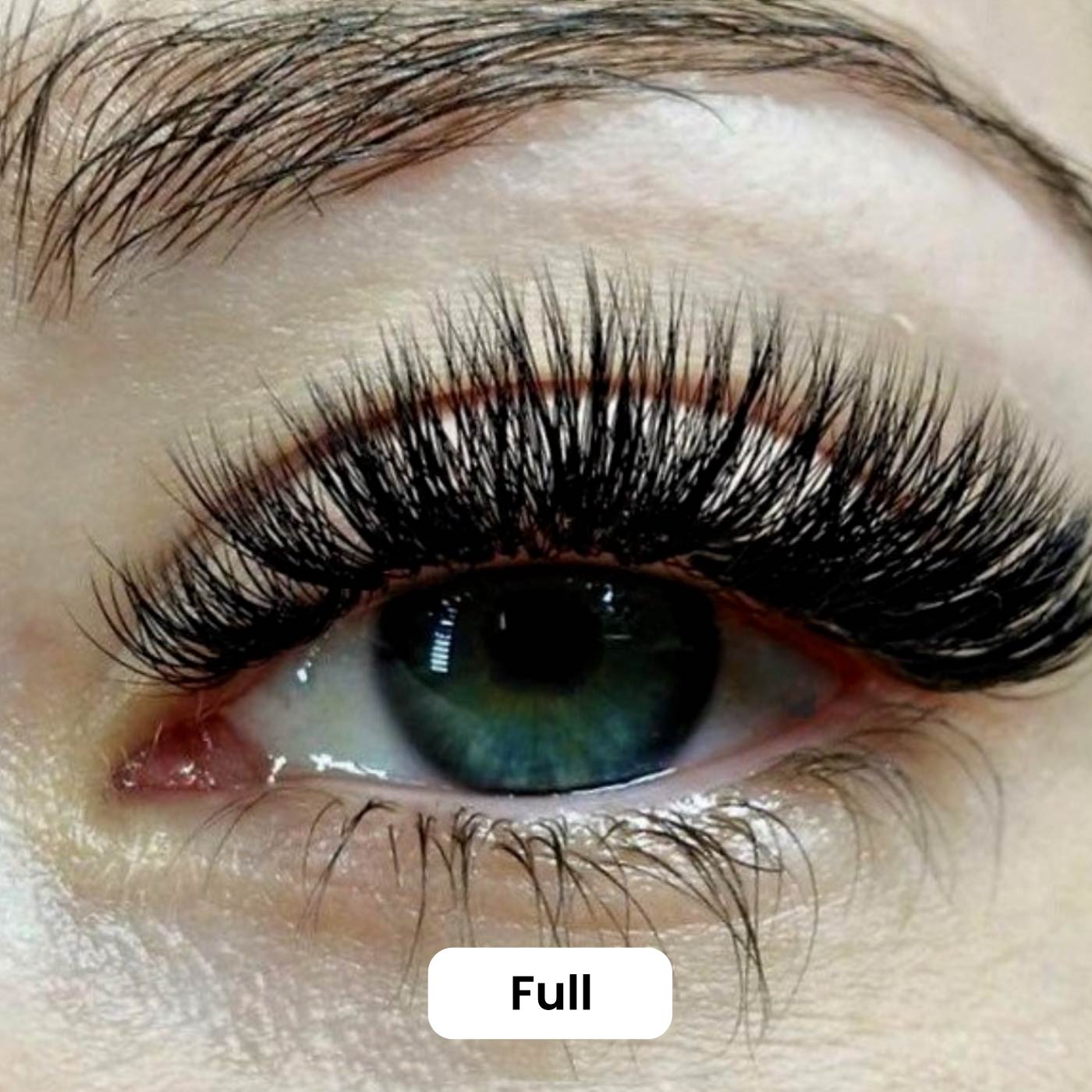 BluHaven™ Magnetic Eyelashes